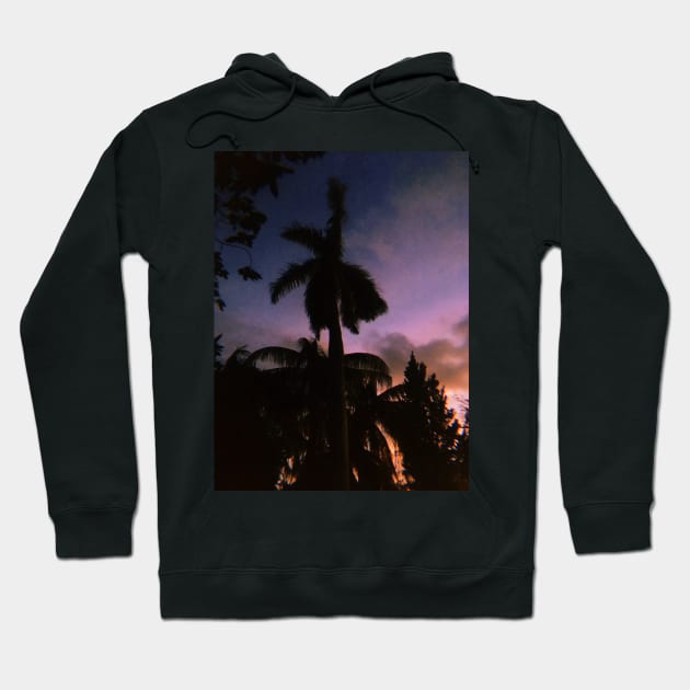 Pink Tropical Sunset Hoodie by SoCalDreamin